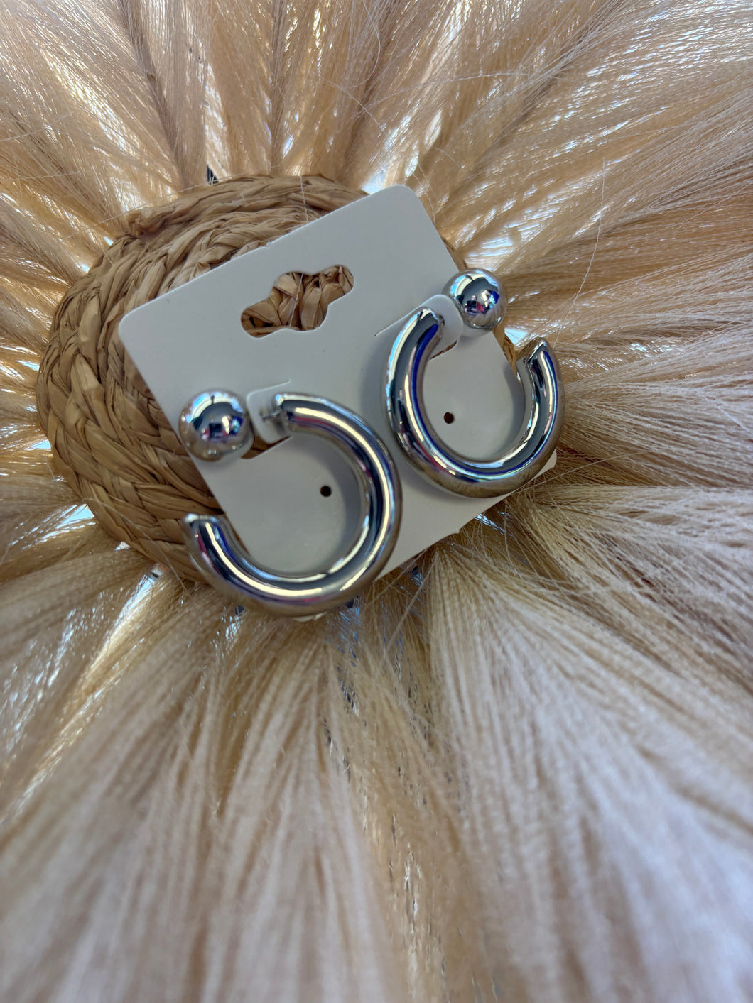 Silver Classic Hoops